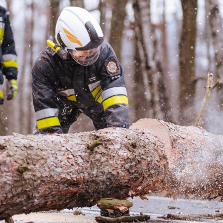 Usuwanie pochylonego drzewa