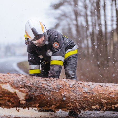 Usuwanie pochylonego drzewa