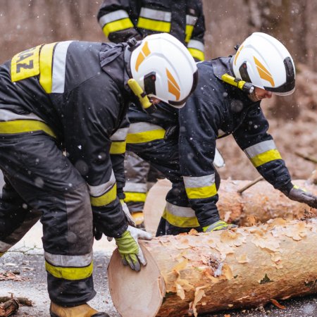 Usuwanie pochylonego drzewa