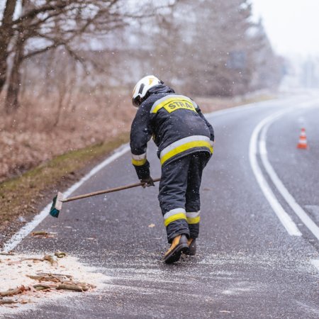 Usuwanie pochylonego drzewa