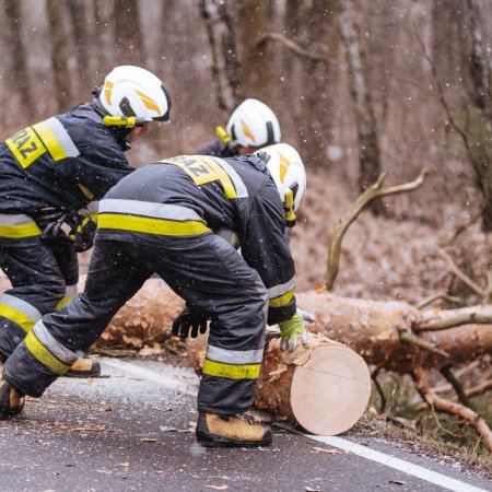 Usuwanie pochylonego drzewa
