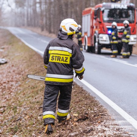 Usuwanie pochylonego drzewa