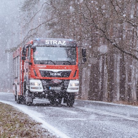 Usuwanie pochylonego drzewa