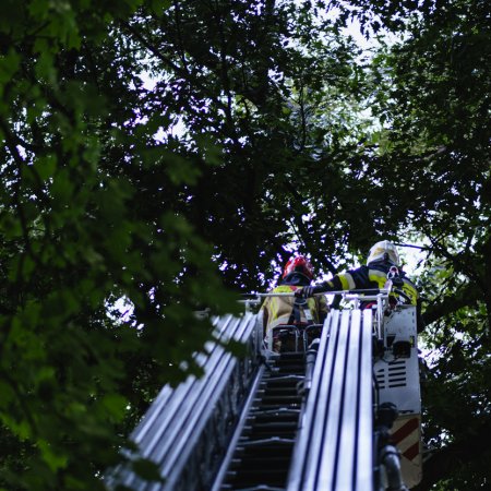 Podsumowanie ostatnich wyjazdów