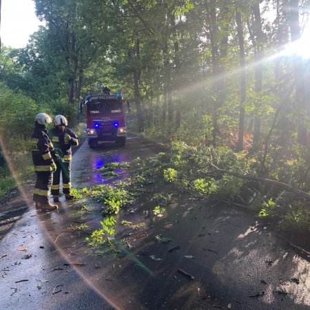 Usuwanie powalonego drzewa - 11 sierpnia 2022
