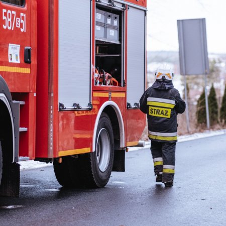 Usuwanie powalonego drzewa