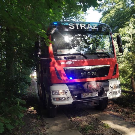 Usuwanie powalonego drzewa - 30 czerwca 2020
