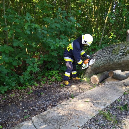 Usuwanie powalonego drzewa - 30 czerwca 2020
