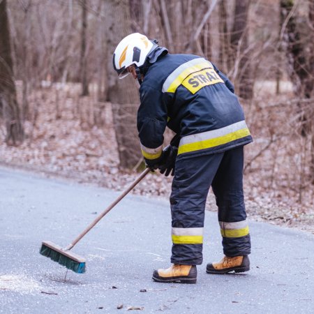 Usuwanie powalonego drzewa