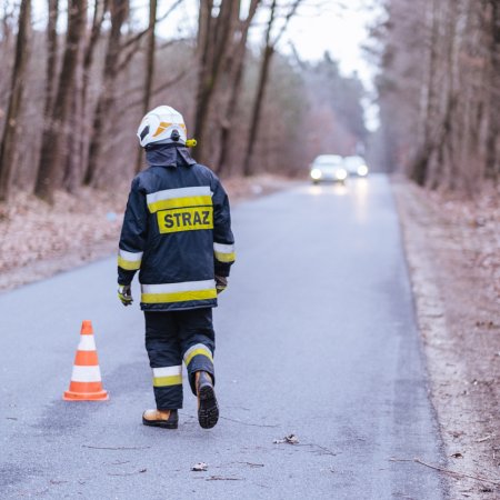 Usuwanie powalonego drzewa