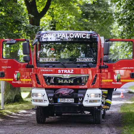 Usuwanie powalonego konaru drzewa - 20 sierpnia 2022
