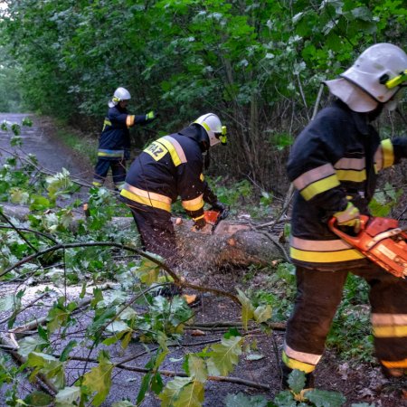 Usuwanie przewróconego drzewa - 21 czerwca 2018
