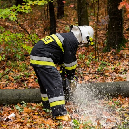 Usuwanie przewróconego drzewa