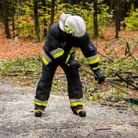 Usuwanie przewróconego drzewa