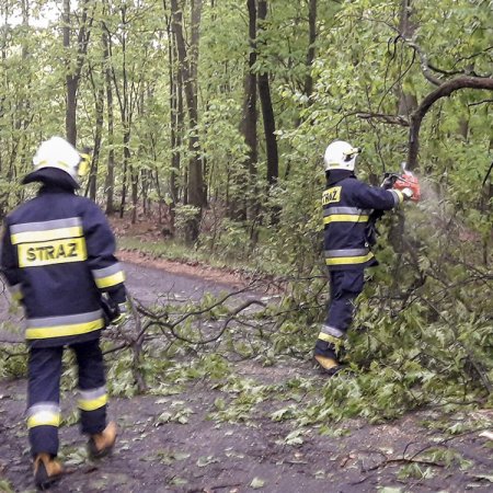 Usuwanie przewróconego drzewa - 4 maja 2018
