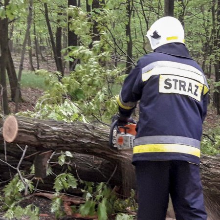 Usuwanie przewróconego drzewa - 4 maja 2018
