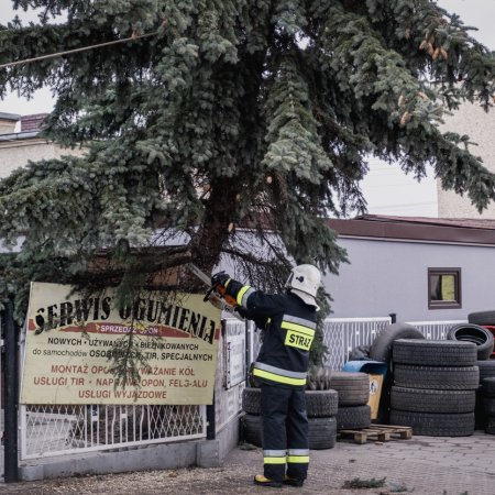 Usuwanie skutków nawałnicy