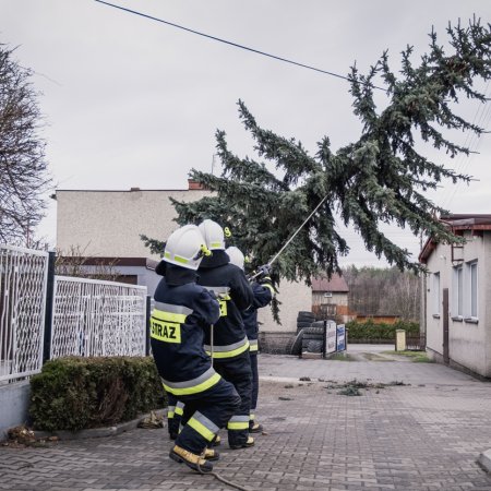Usuwanie skutków nawałnicy