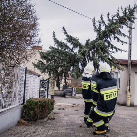 Usuwanie skutków nawałnicy