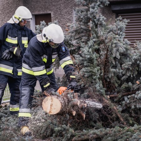 Usuwanie skutków nawałnicy