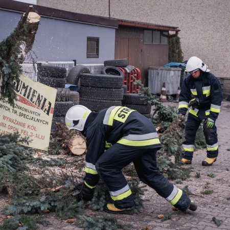 Usuwanie skutków nawałnicy