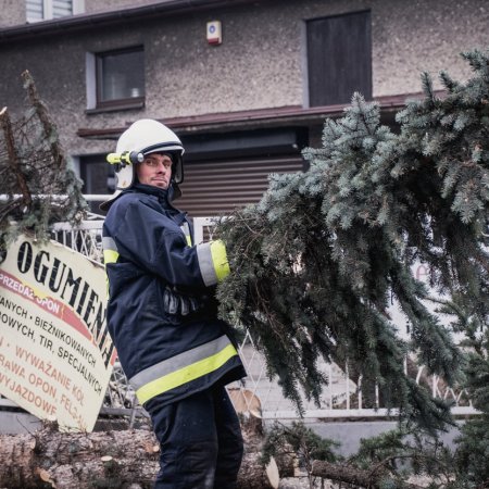Usuwanie skutków nawałnicy