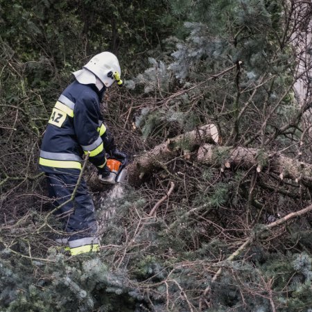 Usuwanie skutków nawałnicy