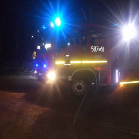 Usuwanie skutków wiatrołomu - 14 grudnia 2016
