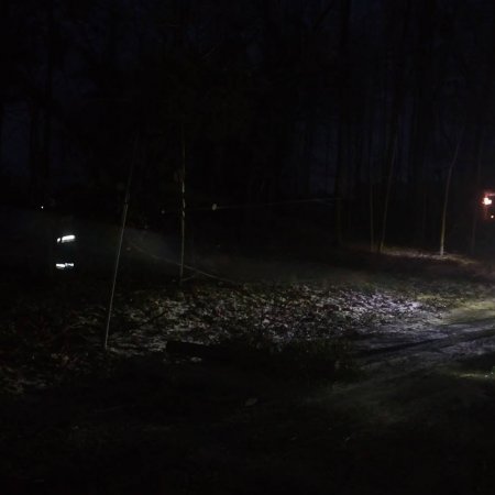 Usuwanie skutków wiatrołomu - 14 grudnia 2016
