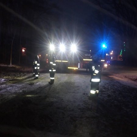 Usuwanie skutków wiatrołomu - 14 grudnia 2016
