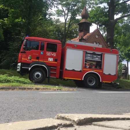 Usuwanie spróchniałego drzewa - 8 lipca 2022
