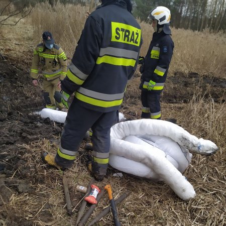 Usuwanie substancji ropopochodnych - 24 marca 2021
