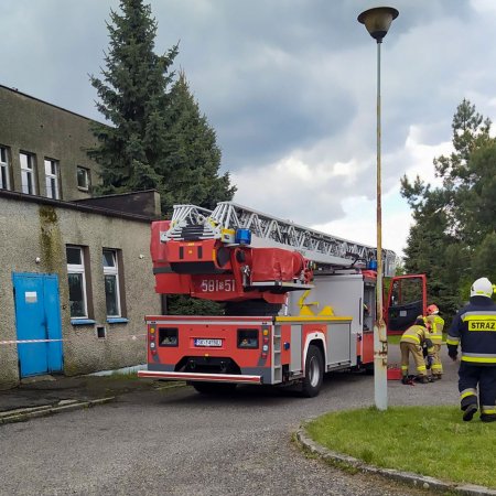 Uszkodzone bocianie gniazdo - 5 maja 2020
