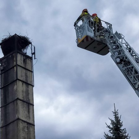 Uszkodzone bocianie gniazdo - 5 maja 2020
