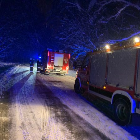 Zdarzenie drogowe i konary na jezdni
