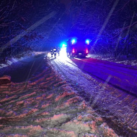 Zdarzenie drogowe i konary na jezdni