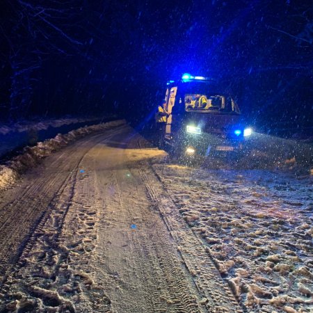 Zdarzenie drogowe i konary na jezdni